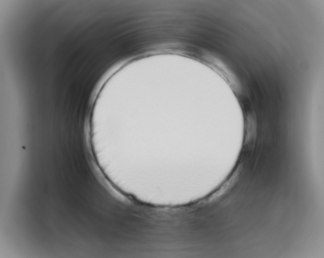 X0000113260812200910221038
