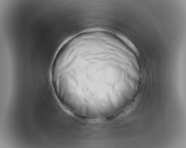 X0000113260813200910221038
