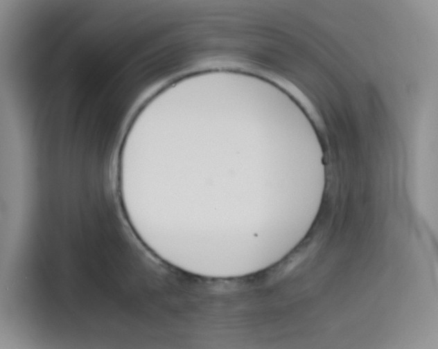 X0000113260815200910221038