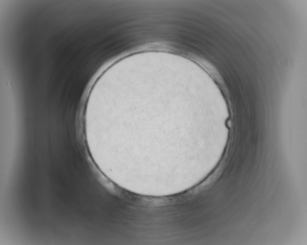 X0000113260816200910221038