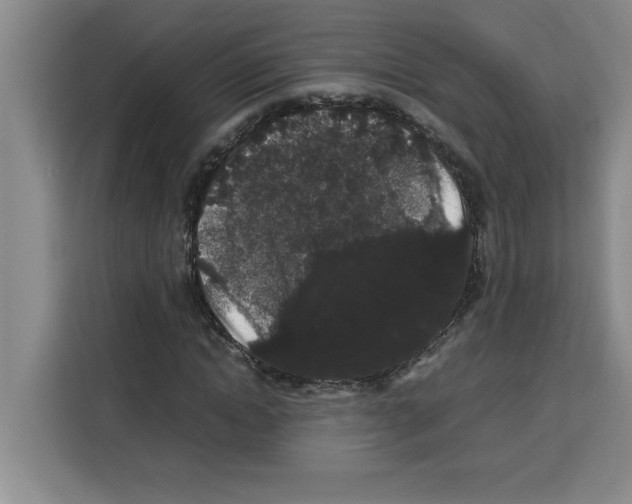 X0000113260822200910221037