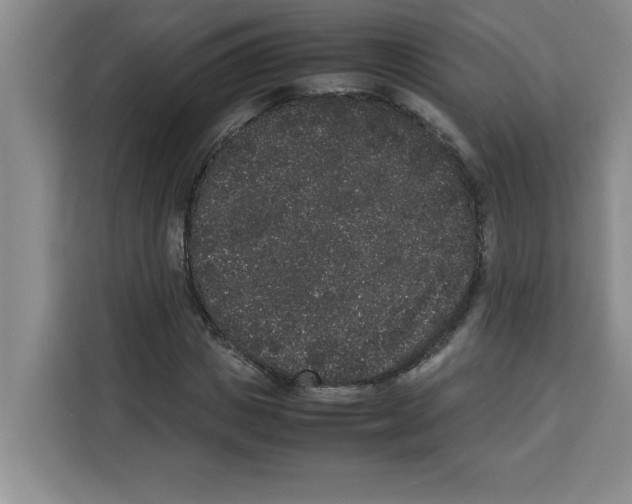 X0000113260825200910221037