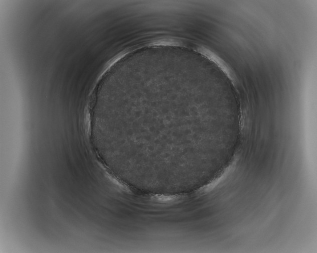 X0000113260829200910221037