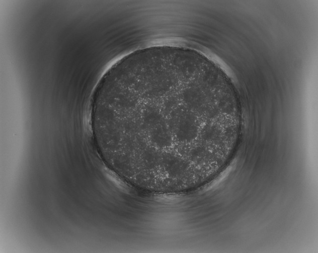 X0000113260830200910221037