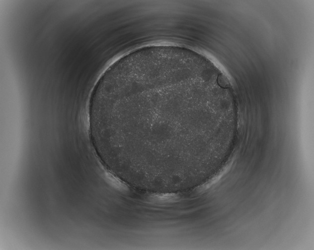 X0000113260837200910221037