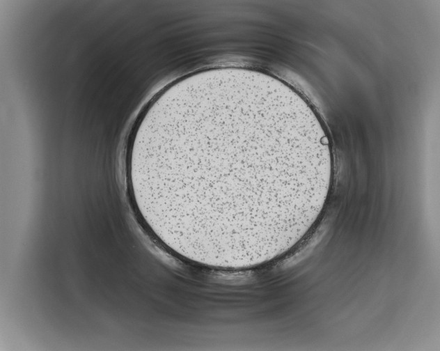 X0000113260843200910221037