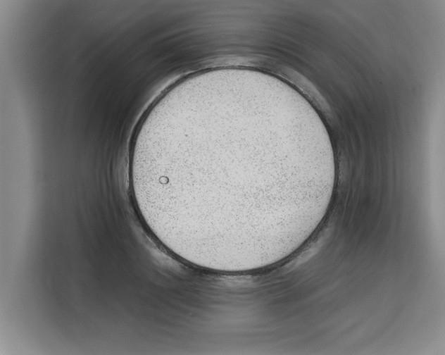 X0000113260844200910221037