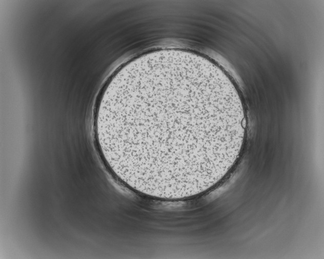 X0000113260845200910221037