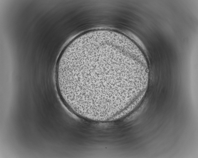 X0000113260847200910221037