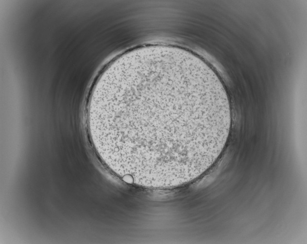X0000113260848200910221037