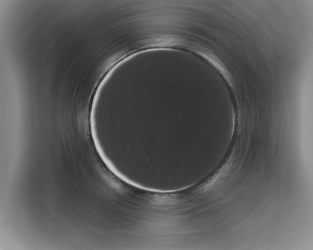 X0000113260850200910221037