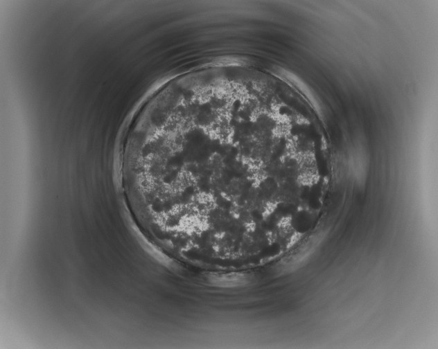 X0000113260851200910221037