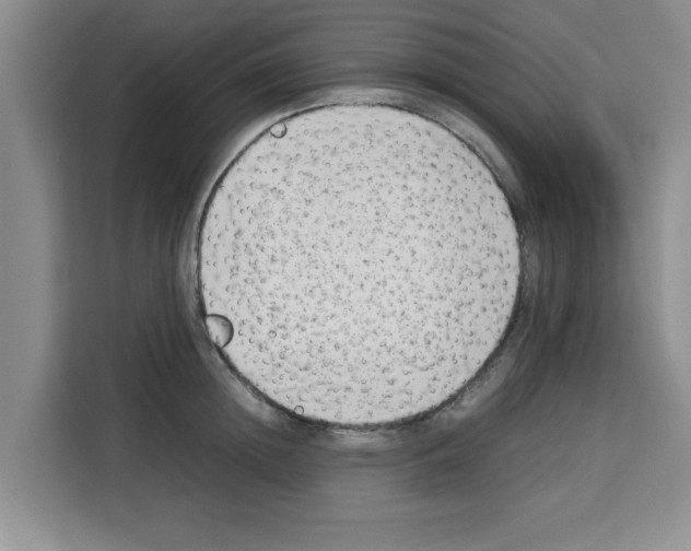 X0000113260852200910221038