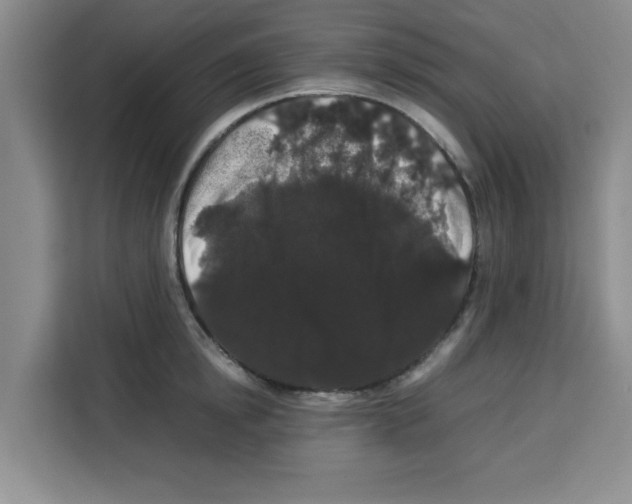 X0000113260854200910221038