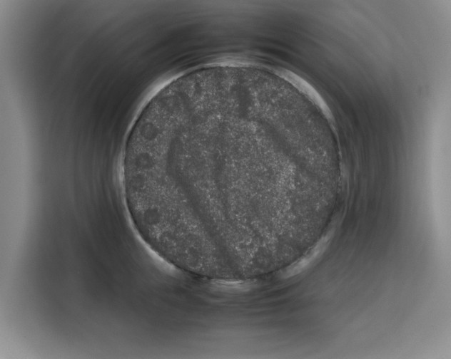 X0000113260855200910221038