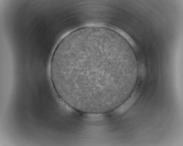 X0000113260856200910221038