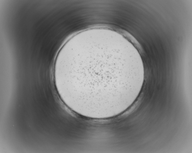 X0000113260860200910221038
