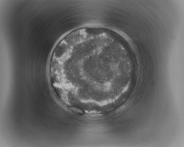 X0000113260864200910221038