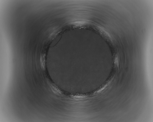 X0000113260868200910221037