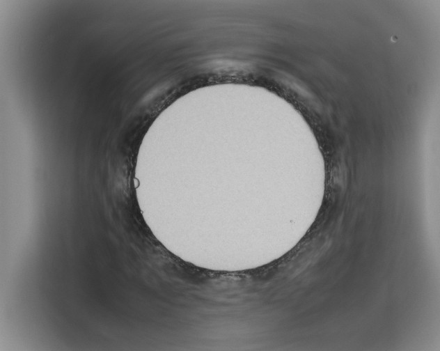 X0000113260869200910221037