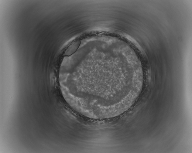 X0000113260872200910221037