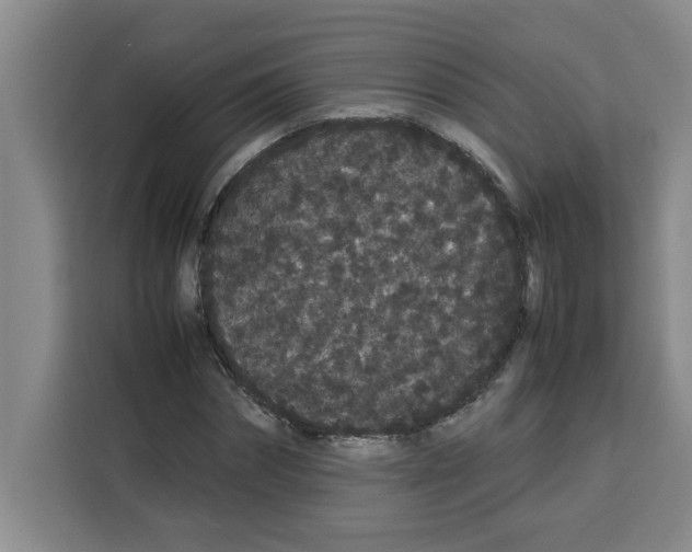 X0000113260874200910221037