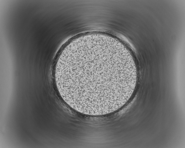 X0000113260875200910221037