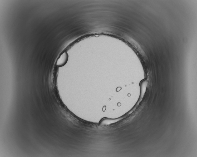 X0000113260876200910221037