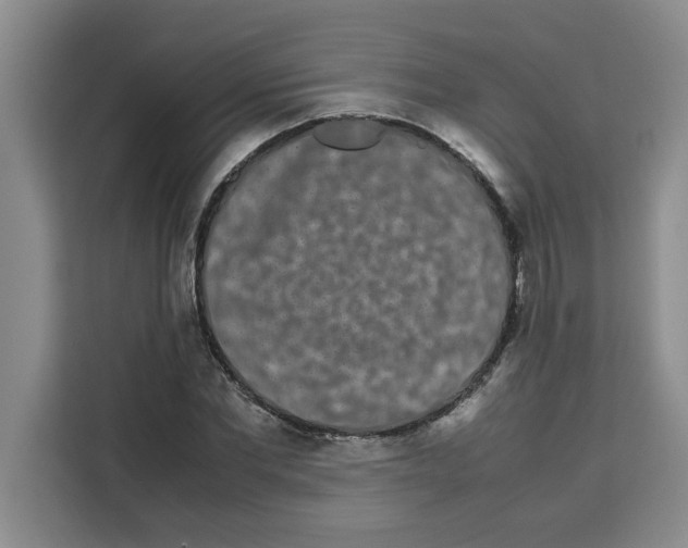 X0000113260877200910221037
