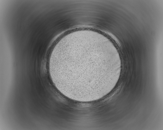 X0000113260878200910221037