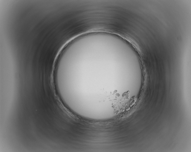 X0000113260880200910221037