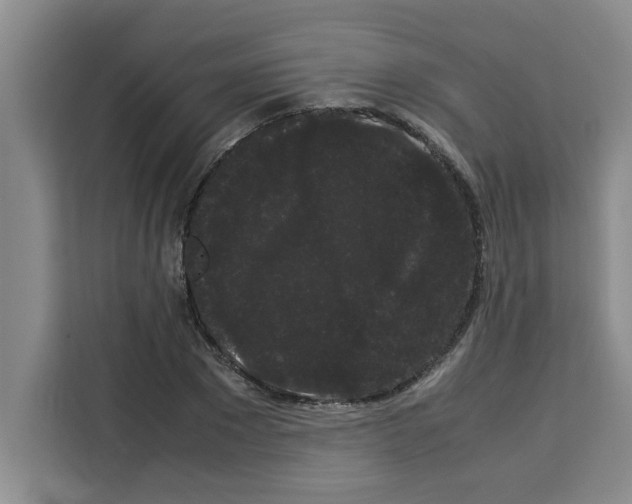 X0000113260881200910221037