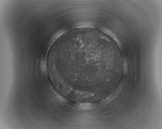 X0000113260882200910221037