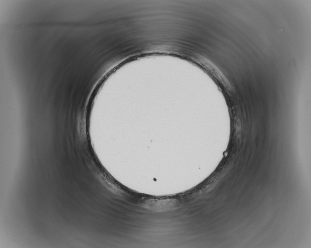 X0000113260884200910221037