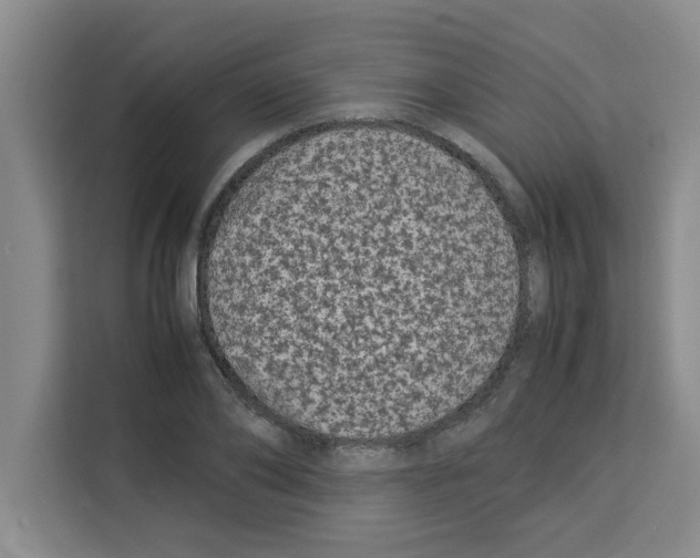 X0000113260886200910221037