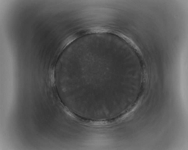 X0000113260889200910221037