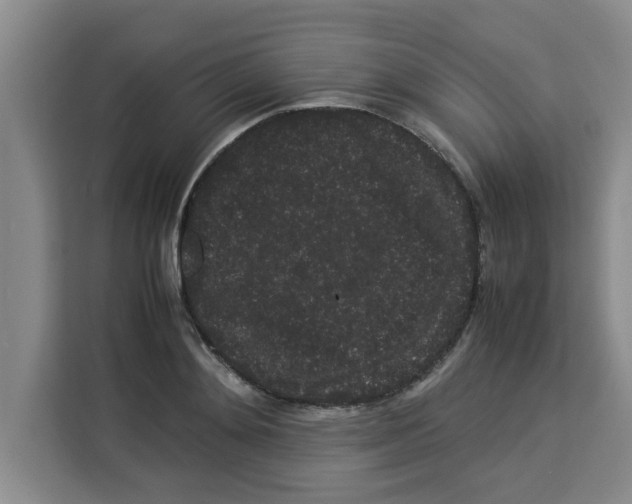 X0000113260892200910221037