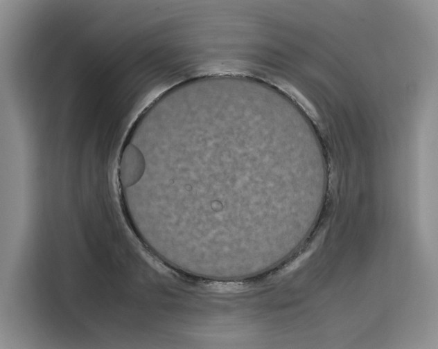 X0000113260893200910221037