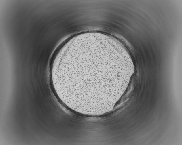 X0000113260894200910221037