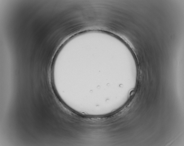 X0000113260895200910221037