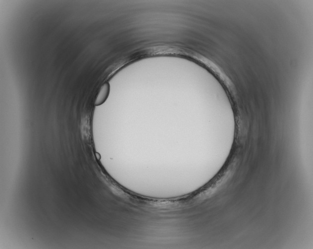 X0000113260897200910221037