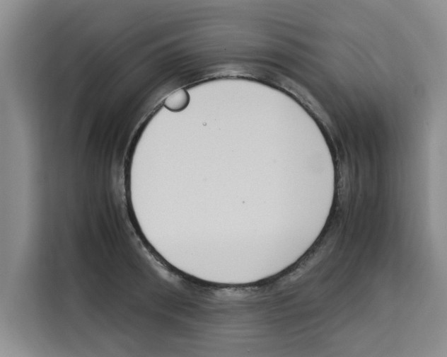 X0000113260898200910221037