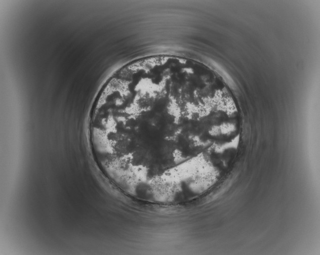 X0000113260899200910221037