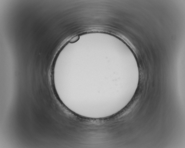 X0000113260901200910221037