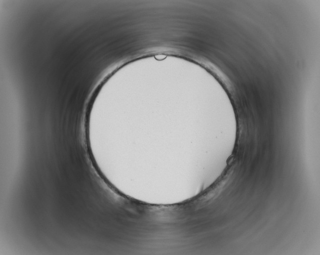 X0000113260902200910221037