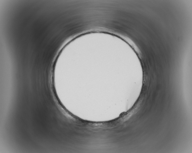 X0000113260903200910221037