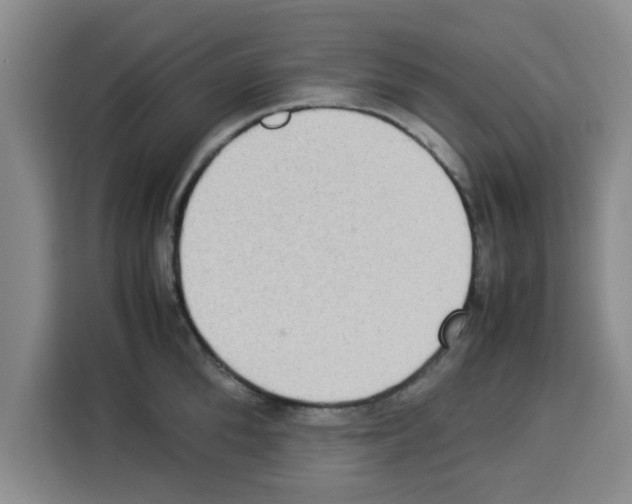 X0000113260904200910221037