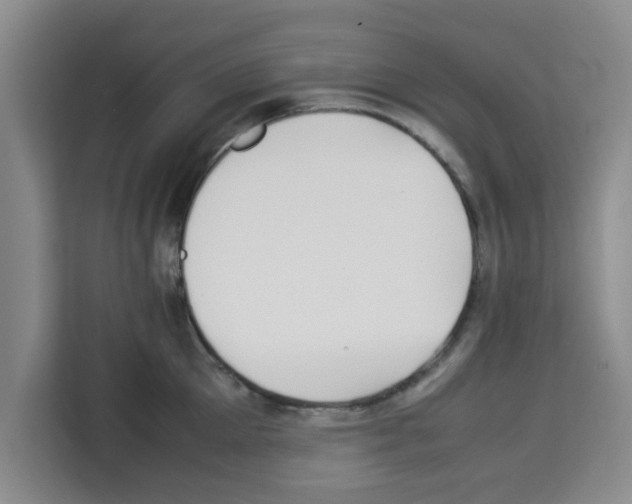 X0000113260905200910221037
