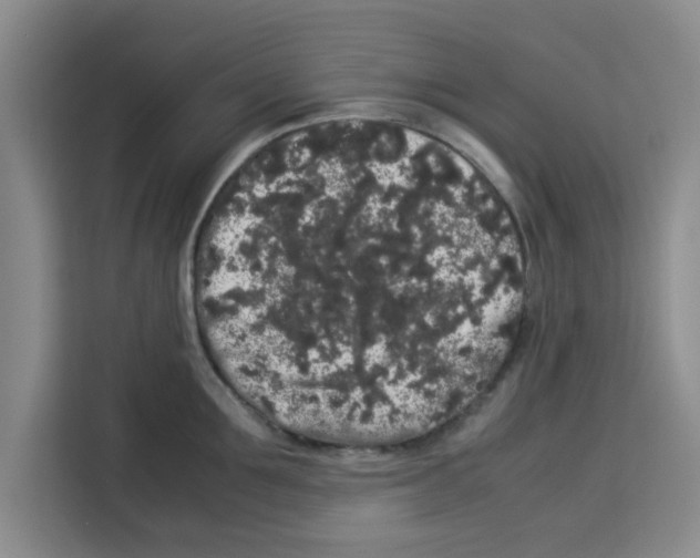 X0000113260907200910221036