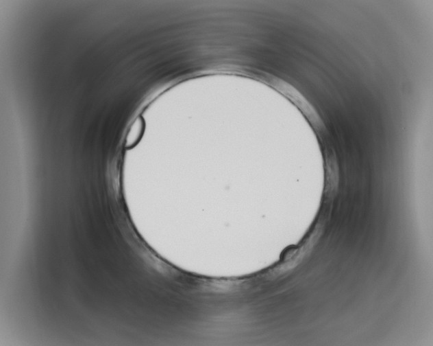 X0000113260908200910221036